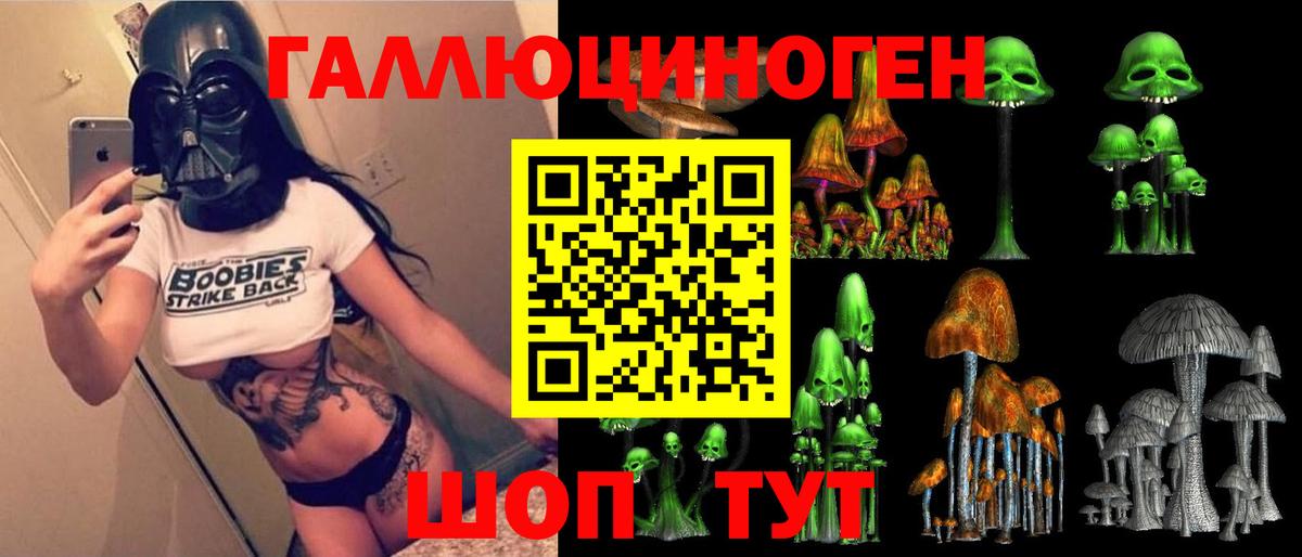 Псилоцибиновые грибы Psilocybe Кузнецк